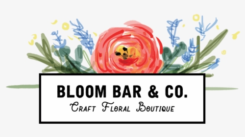 Bloom Bar & Co - Persian Buttercup, HD Png Download, Free Download