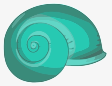 Shell, Beach, Clam, Seashell, Sea, Ocean, Sand, Summer - Spiral, HD Png Download, Free Download