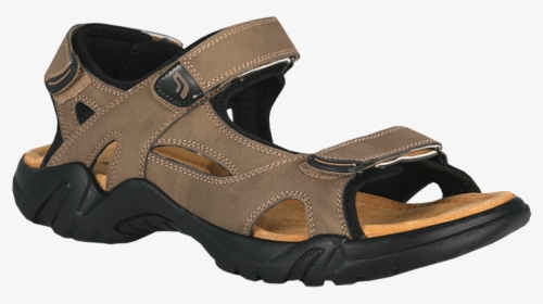 Chappal PNG Images, Free Transparent 