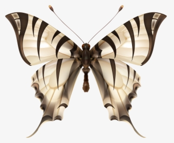 Zebra Wing Butterfly Images Png, Transparent Png, Free Download