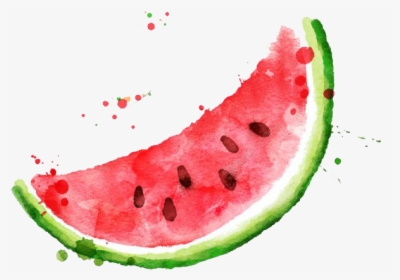 Watermelon Watercolor Png, Transparent Png, Free Download