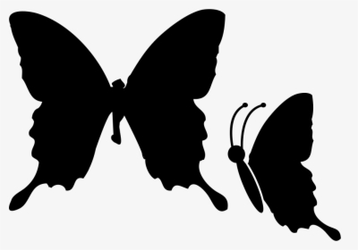 Butterfly - Butterfly Svg, HD Png Download, Free Download