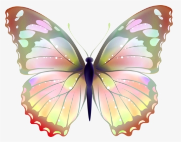 Butter Fly Png, Transparent Png, Free Download