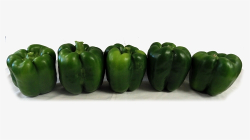Bell Pepper Plant Png - Green Bell Pepper, Transparent Png, Free Download