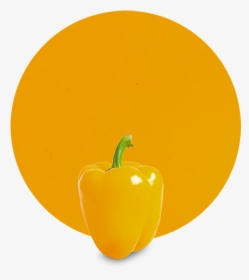 Yellow Pepper, HD Png Download, Free Download