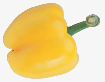 Pepper Png Image - Yellow Pepper No Background, Transparent Png, Free Download