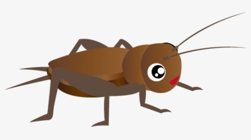 Cricket Clipart Png - Insect Cricket Clip Art, Transparent Png, Free Download