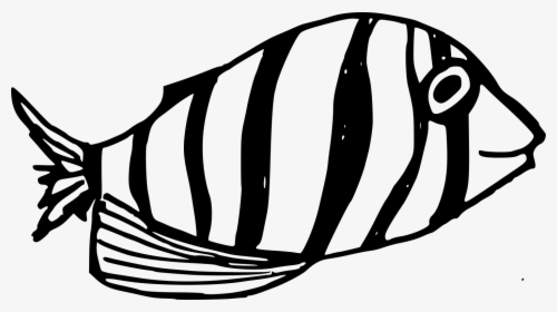 Transparent Images Fish Black And White Png, Png Download, Free Download