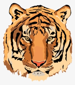 Tiger Vector - Clipart Library - Tiger Vector Art Png, Transparent Png, Free Download