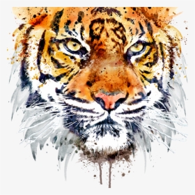 Tigers Drawing Front Face - Tiger Painting Black And White, HD Png Download, Free Download