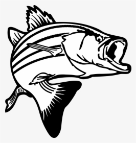 Free Walleye Cliparts Download - Bass Fish Clipart, HD Png Download, Free Download
