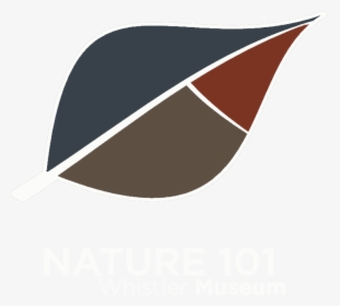 Nature101 Web, HD Png Download, Free Download