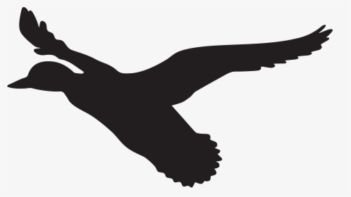 Duck Flight Mallard Clip Art - Flying Duck Silhouette Png, Transparent Png, Free Download