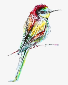 Kingfisher Bird Png High-quality Image - Bee Eater, Transparent Png, Free Download
