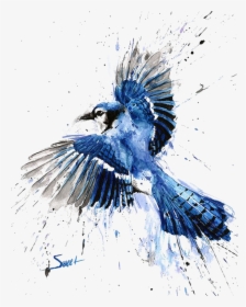 Belted-kingfisher - Blue Jay Watercolor Painting, HD Png Download, Free Download