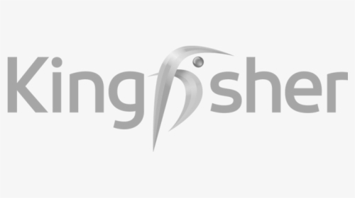 Kingfisher, HD Png Download, Free Download