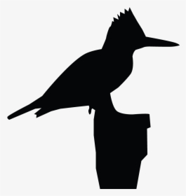Kingfisher Silhouette, HD Png Download, Free Download