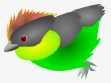 Kingfisher Clipart - Finches, HD Png Download, Free Download