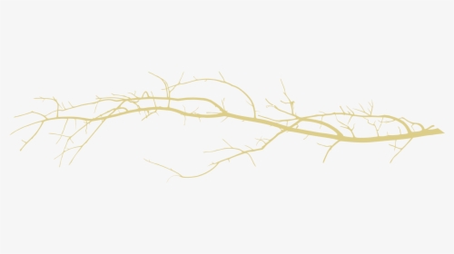 Branch Silhouette, HD Png Download, Free Download