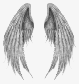 #alas #angel #angels #alasdeangel - Pink Angel Wings, HD Png Download ...