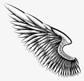 Eagle Wing Png Freeuse Download - Alas De Aguila Dibujo, Transparent Png, Free Download
