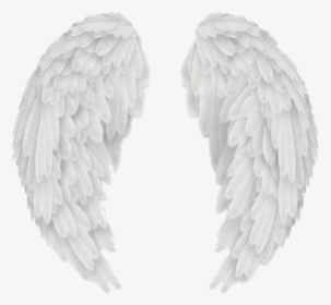#wings #wing #alas #ala #overlay #tumblr #white #blanco - Transparent Angel Wings Vector, HD Png Download, Free Download