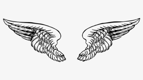 Clip Art Sketched Angel - Angel Wing Drawing Png, Transparent Png, Free Download
