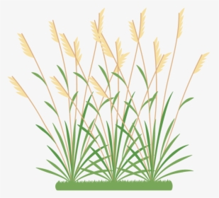 Grass Icon Png, Transparent Png, Free Download