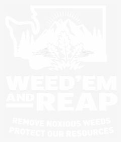 Noxious Weeds Damage Our Resources - Poster, HD Png Download, Free Download