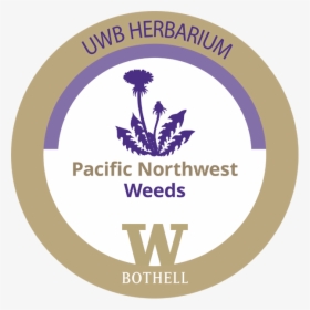 Pnw Weeds - Uw Bothell, HD Png Download, Free Download