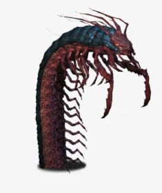 654 X 727 - Giant Centipede 5e, HD Png Download, Free Download
