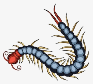 Chinese Red Head Centipede Art, HD Png Download, Free Download