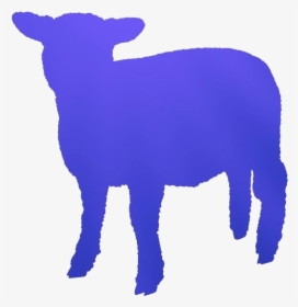 Baby Lamb Png Transparent Images - Owieczki Png, Png Download, Free Download