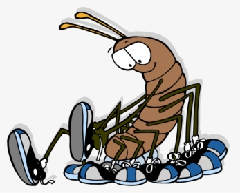 - Cartoon Centipede Wearing Shoes Clipart , Png Download - Centipede Putting On Shoes, Transparent Png, Free Download