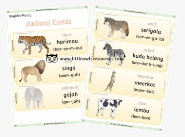 Animal Cards Cover - Working Animal, HD Png Download, Free Download