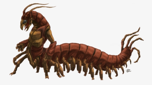 Drawing Insect Centipede - Centipede Man, HD Png Download, Free Download