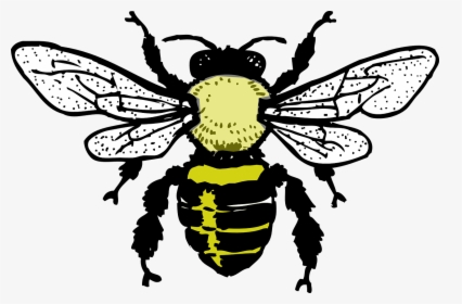 Honey Bee Silhouette, HD Png Download, Free Download