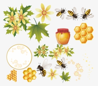 Transparent Bee Silhouette Png - Honey Bee, Png Download, Free Download