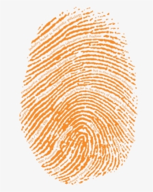 High Resolution Fingerprint Hd, HD Png Download, Free Download