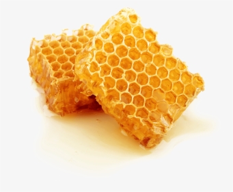 Beehive Honeycomb Honey Bee - Cera Alba Beeswax, HD Png Download, Free Download