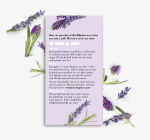 Beauty And Planet Conditioner, HD Png Download, Free Download