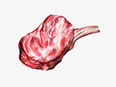 Sketch, HD Png Download, Free Download