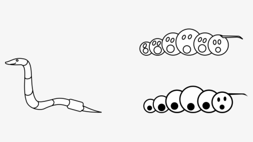 Black And White Wall Worm, HD Png Download, Free Download
