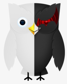 Owl, HD Png Download, Free Download