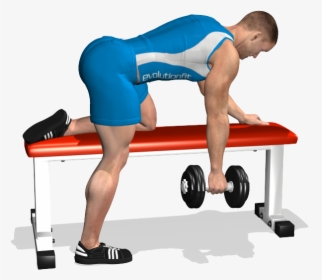 One Arm Dumbbell On Flat Bench Involved - Dumbbell Row Png, Transparent Png, Free Download