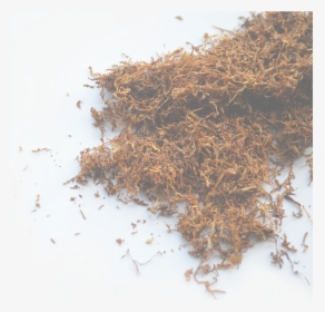 Funnel Tobacco - Smokeless Tobacco Spit, HD Png Download, Free Download