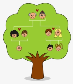 Nuclear Tree Genealogy Family Child Free Download Png - Family Tree For Nuclear Family, Transparent Png, Free Download