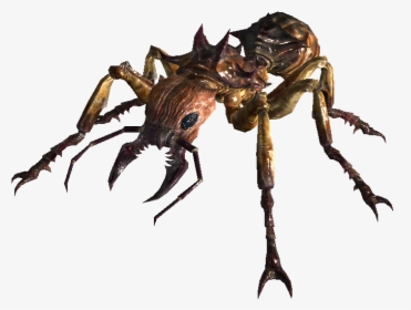 Non-alien Creatures Wiki - Fallout 3 Giant Ant, HD Png Download, Free Download