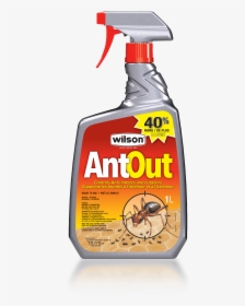 Wilson Antout - Wilson Ant Out, HD Png Download, Free Download