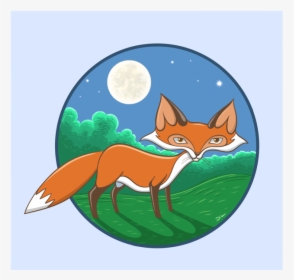 “a Fox In The Night” Vector Night Ipad Illustrator - Red Fox, HD Png Download, Free Download